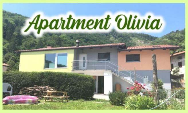 Apartment Olivia Ciginj Luaran gambar